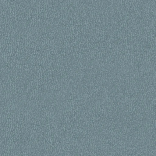 YOUNGLIM PUL656
